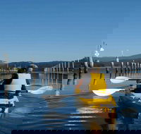 Batemans Bay Oyster Tasting Kayak Tour - South Australia Travel