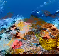 Agincourt Reef - South Australia Travel