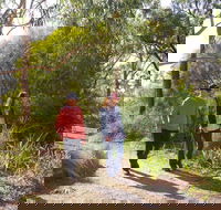 Arthurs Seat Circuit Walk - South Australia Travel
