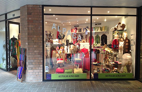 Australian Alpaca Barn - The Rocks - South Australia Travel 2