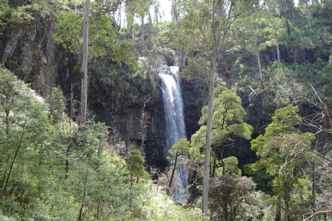 Bindaree Falls - South Australia Travel 0