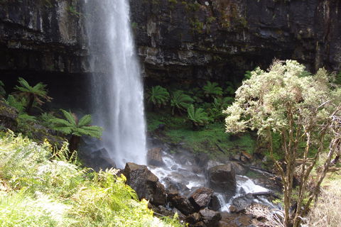 Bindaree Falls - South Australia Travel 1