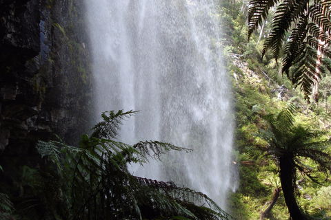 Bindaree Falls - South Australia Travel 2