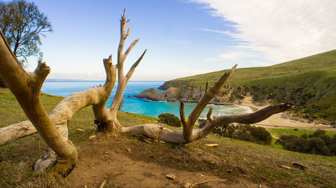 Blowhole Beach - South Australia Travel 0