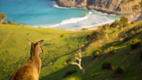 Blowhole Beach - South Australia Travel 1