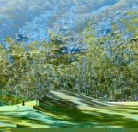 Bonville Golf Resort - South Australia Travel