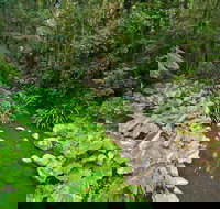 Brindle Creek Walking Track - South Australia Travel