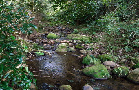 Cascades Picnic Area - South Australia Travel 0