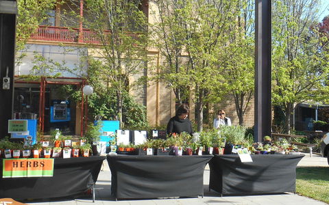 Clare Show Market - South Australia Travel 0