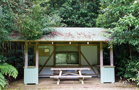 Coachwood Picnic Area - South Australia Travel 0
