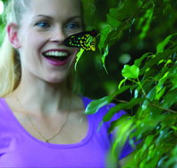 Coffs Harbour Butterfly House - South Australia Travel