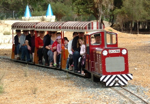 Cohunu Koala Park - South Australia Travel 2