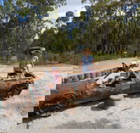 Crooked Brook Forest - South Australia Travel