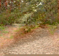 Daleys Point Walking Track - South Australia Travel