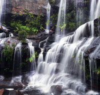 Darkes Forest - South Australia Travel