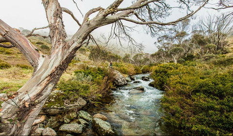 Dead Horse Gap Walking Track - South Australia Travel 0