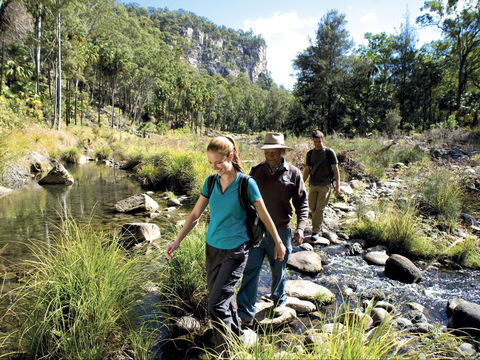 Dig The Tropic - South Australia Travel 1