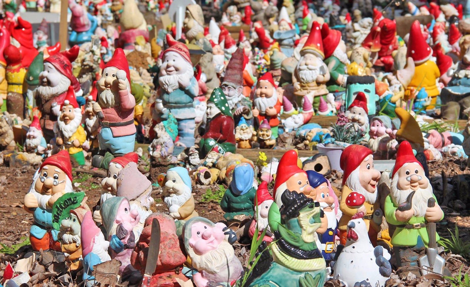 Wellington Mill WA South Australia Travel