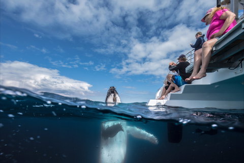 Great Beach Drive - 3 Day Itinerary - South Australia Travel 2