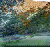 Griffins walking track - South Australia Travel