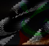 James McMurtrie's  Glass Blowing Studio and Gallery - South Australia Travel