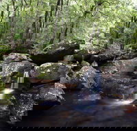 Kangaroo River - South Australia Travel