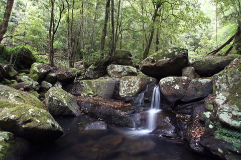 Kangaroo River - South Australia Travel 0