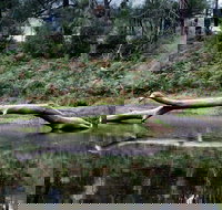 Kayaking Upper Tuross River and Bumbo Lake - South Australia Travel