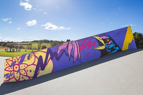 Kirkham Skate Park - South Australia Travel 1