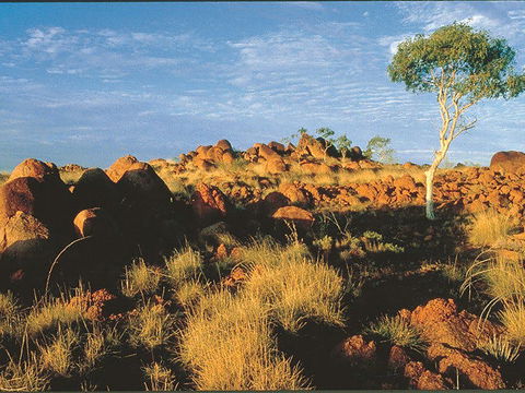 Kunjarra/The Pebbles - South Australia Travel 0