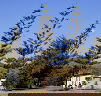 Kurrawa Park - South Australia Travel