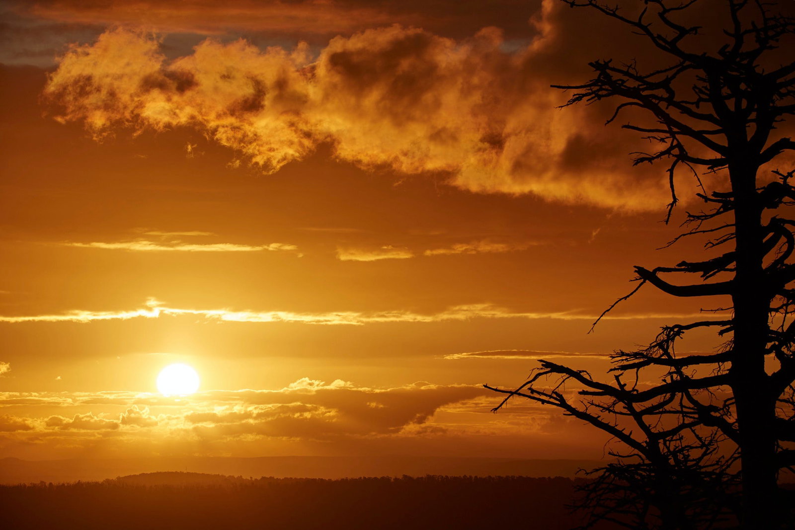 Kinglake Central VIC South Australia Travel