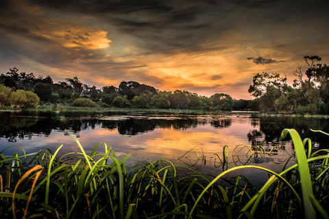 Lake McIntyre - South Australia Travel 0