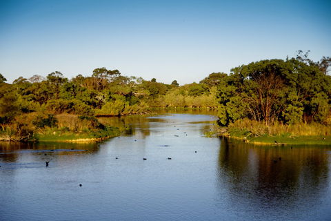 Lake McIntyre - South Australia Travel 2