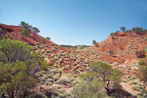 Lark Quarry Conservation Park - South Australia Travel 0