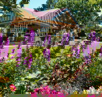 Laurel Bank Park - South Australia Travel