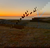 Lessismore Farm Afternoon Farmer - South Australia Travel