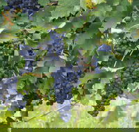 Luskintyre - South Australia Travel