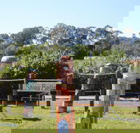 Maryboroughs Bollards - South Australia Travel