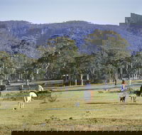 Megalong Valley - South Australia Travel