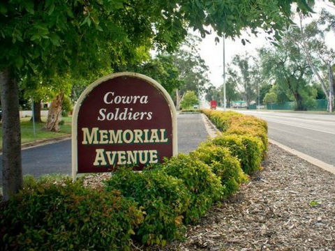 Memorial Avenue In Cowra - South Australia Travel 0
