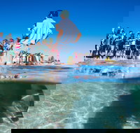 Monkey Mia - South Australia Travel