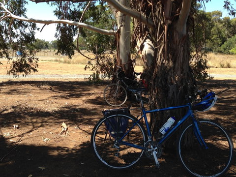Murchison Rail Trail - South Australia Travel 0