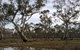 Murchison Rail Trail - thumb 1