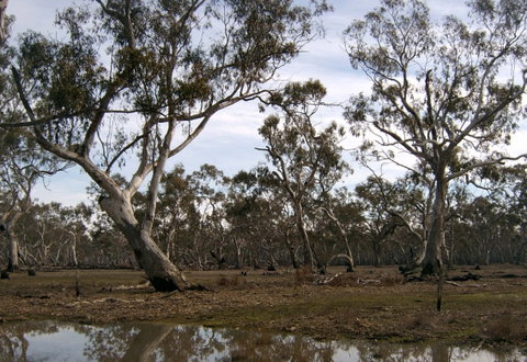 Murchison Rail Trail - South Australia Travel 1