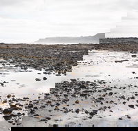 Mushroom Reef Beach - South Australia Travel