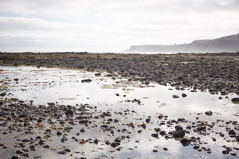 Mushroom Reef Beach - South Australia Travel 0