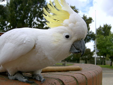 Myuna Farm - South Australia Travel 1