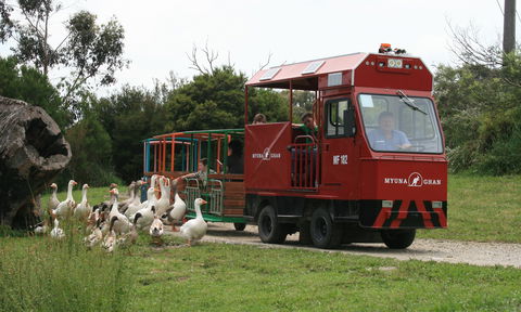 Myuna Farm - South Australia Travel 2
