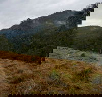 Nowendoc National Park - South Australia Travel
